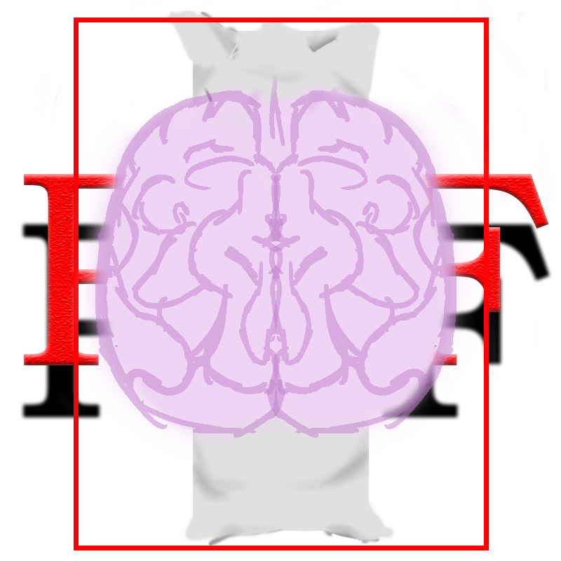 Cerebro de Akuno